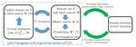 Label Propagation with Augmented Anchors: A Simple Semi-supervised Learning Baseline for Unsupervised Domain Adaptation